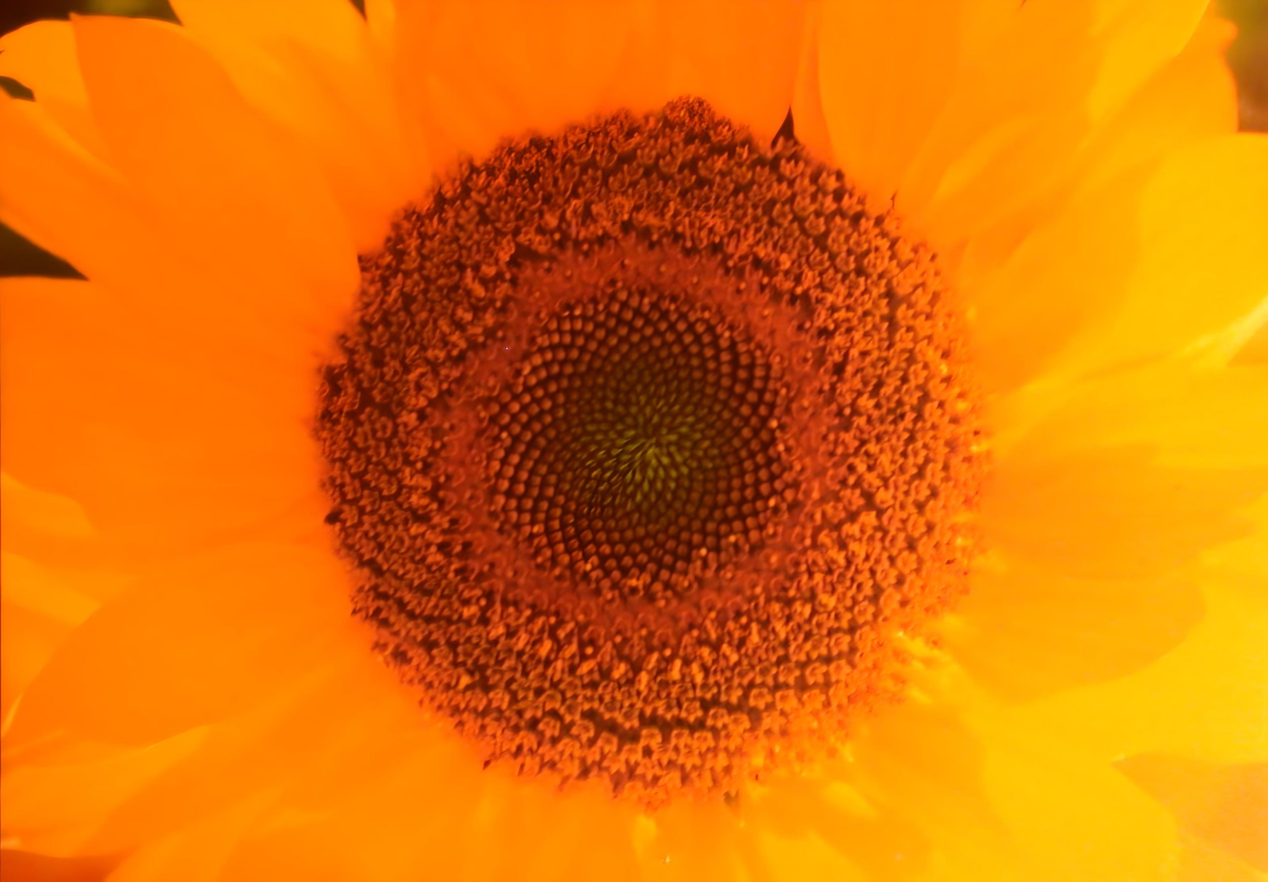 Back 2 Life  ///  Online Therapy & Counseling /// Workshops